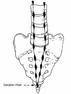 Coccyx steroid injection cpt